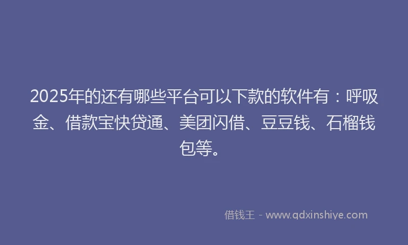 2025年的还有哪些平台可以下款的软件有：呼吸金、借款宝快贷通、美团闪借、豆豆钱、石榴钱包等。