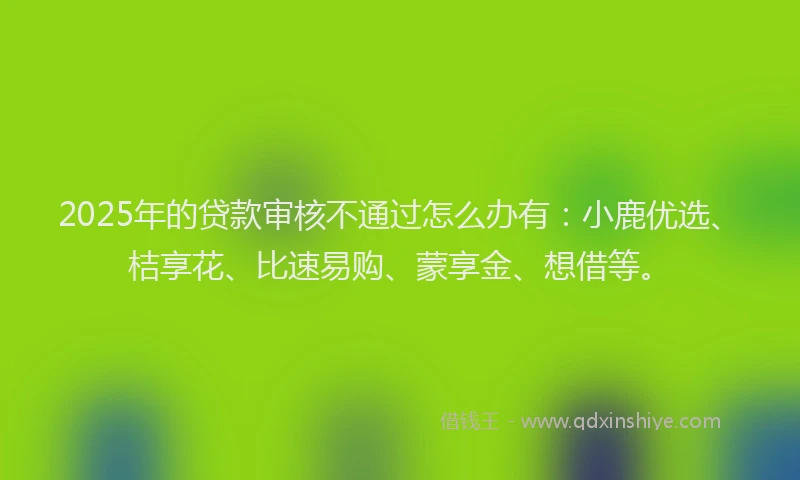 2025年的贷款审核不通过怎么办有：小鹿优选、桔享花、比速易购、蒙享金、想借等。
