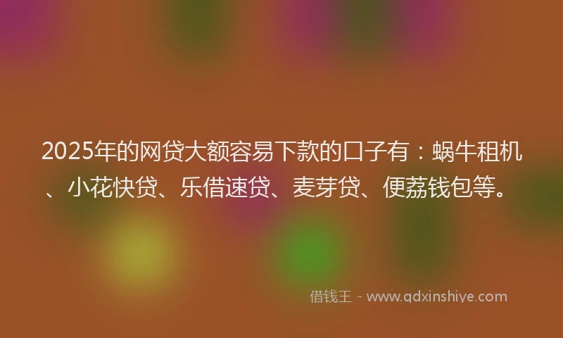 2025年的网贷大额容易下款的口子有：蜗牛租机、小花快贷、乐借速贷、麦芽贷、便荔钱包等。