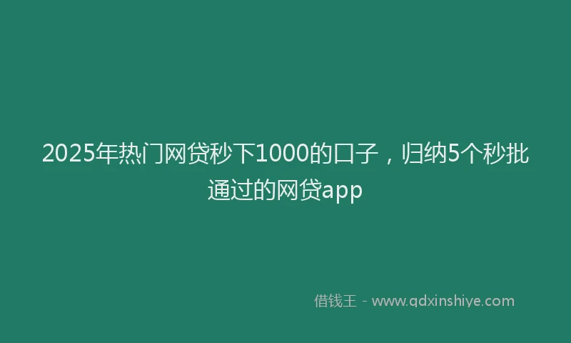 2025年热门网贷秒下1000的口子，归纳5个秒批通过的网贷app