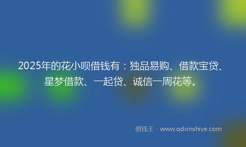 2025年的花小呗借钱有：独品易购、借款宝贷、星梦借款、一起贷、诚信一周花等。