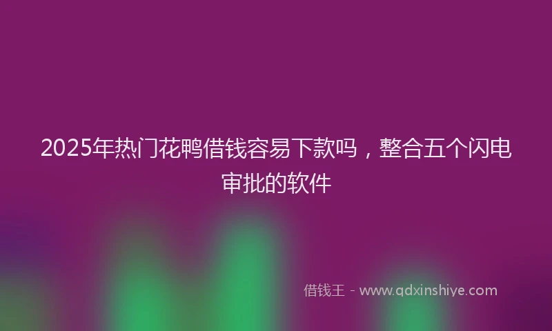 2025年热门花鸭借钱容易下款吗，整合五个闪电审批的软件
