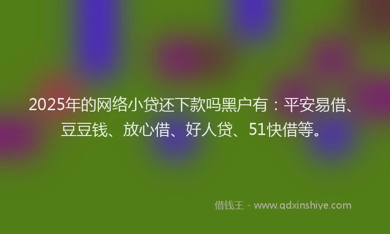 2025年的网络小贷还下款吗黑户有：平安易借、豆豆钱、放心借、好人贷、51快借等。