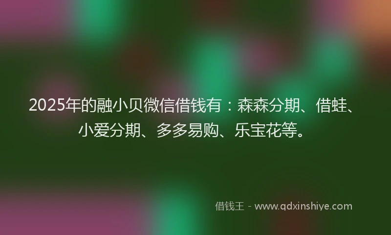 2025年的融小贝微信借钱有：森森分期、借蛙、小爱分期、多多易购、乐宝花等。