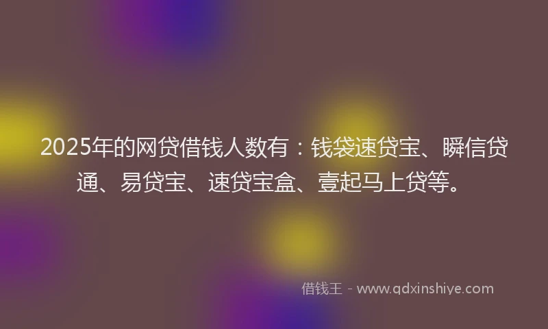 2025年的网贷借钱人数有：钱袋速贷宝、瞬信贷通、易贷宝、速贷宝盒、壹起马上贷等。