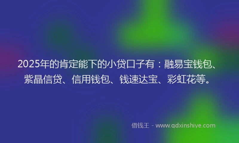 2025年的肯定能下的小贷口子有：融易宝钱包、紫晶信贷、信用钱包、钱速达宝、彩虹花等。