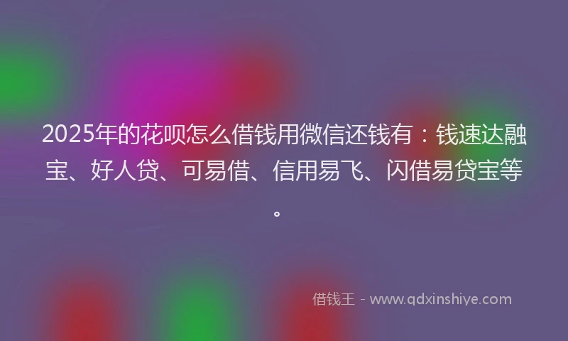 2025年的花呗怎么借钱用微信还钱有：钱速达融宝、好人贷、可易借、信用易飞、闪借易贷宝等。