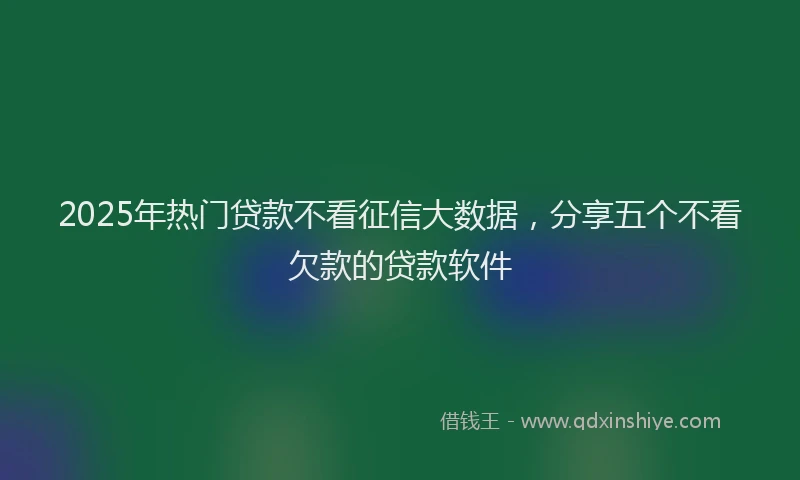 2025年热门贷款不看征信大数据，分享五个不看欠款的贷款软件