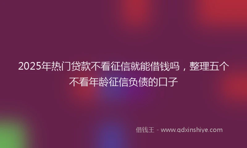 2025年热门贷款不看征信就能借钱吗，整理五个不看年龄征信负债的口子