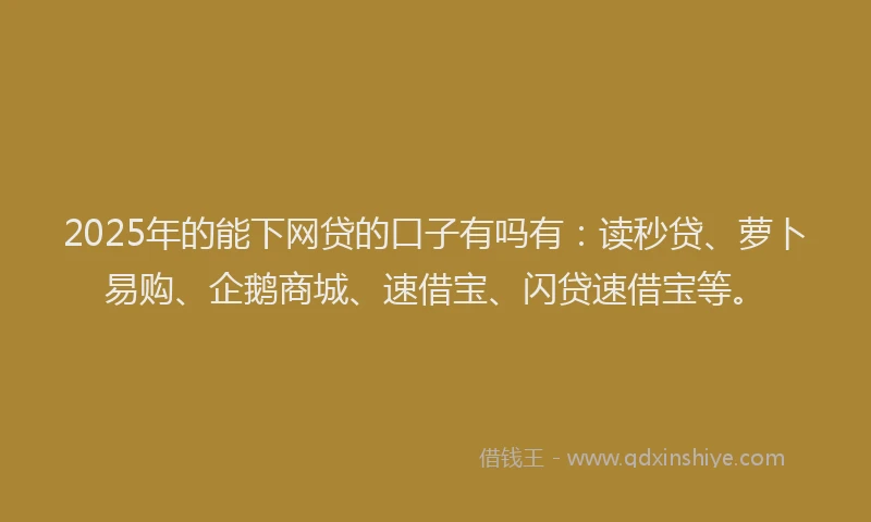 2025年的能下网贷的口子有吗有：读秒贷、萝卜易购、企鹅商城、速借宝、闪贷速借宝等。