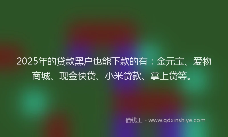 2025年的贷款黑户也能下款的有：金元宝、爱物商城、现金快贷、小米贷款、掌上贷等。