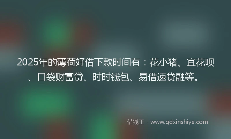 2025年的薄荷好借下款时间有：花小猪、宜花呗、口袋财富贷、时时钱包、易借速贷融等。