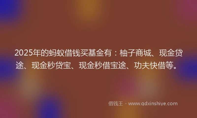 2025年的蚂蚁借钱买基金有：柚子商城、现金贷途、现金秒贷宝、现金秒借宝途、功夫快借等。