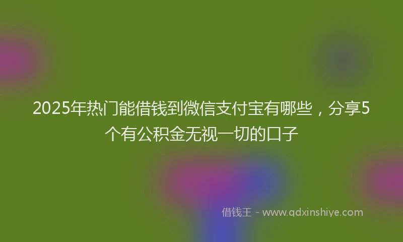 2025年热门能借钱到微信支付宝有哪些，分享5个有公积金无视一切的口子