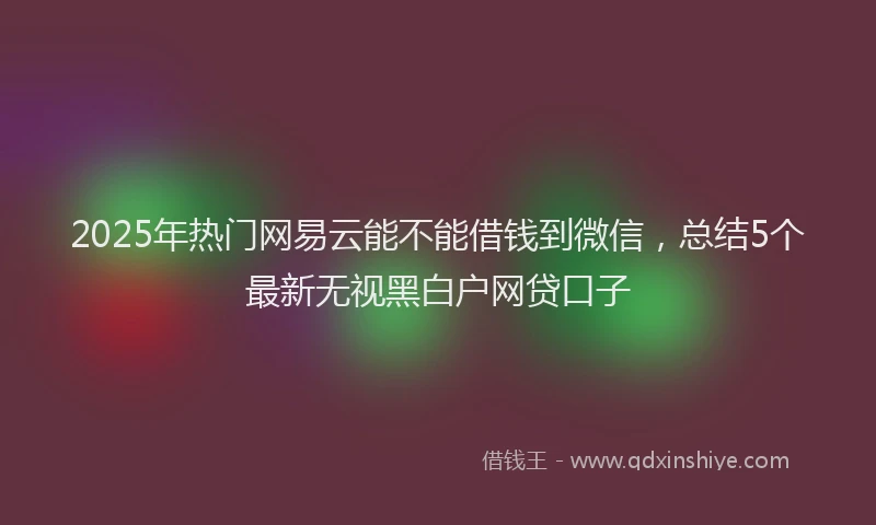 2025年热门网易云能不能借钱到微信，总结5个最新无视黑白户网贷口子