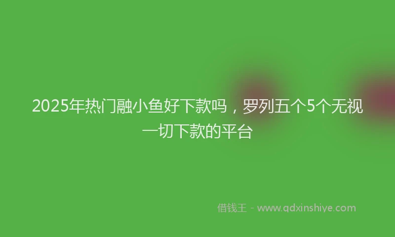 2025年热门融小鱼好下款吗，罗列五个5个无视一切下款的平台