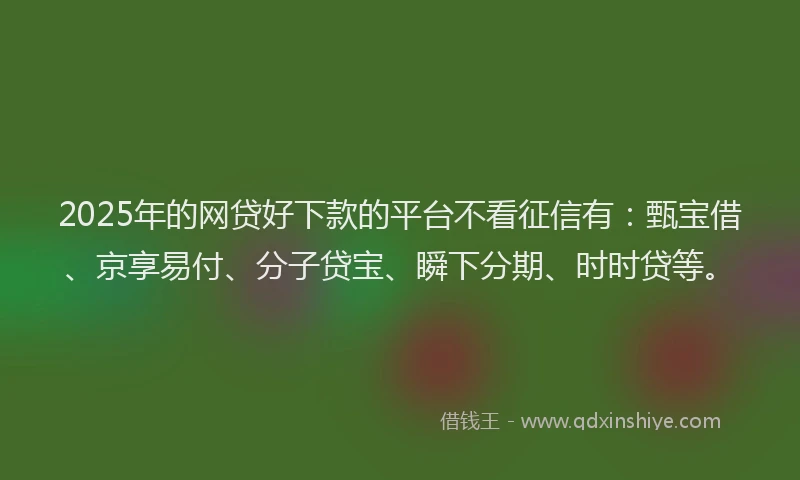 2025年的网贷好下款的平台不看征信有：甄宝借、京享易付、分子贷宝、瞬下分期、时时贷等。