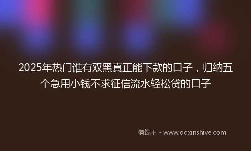 2025年热门谁有双黑真正能下款的口子，归纳五个急用小钱不求征信流水轻松贷的口子