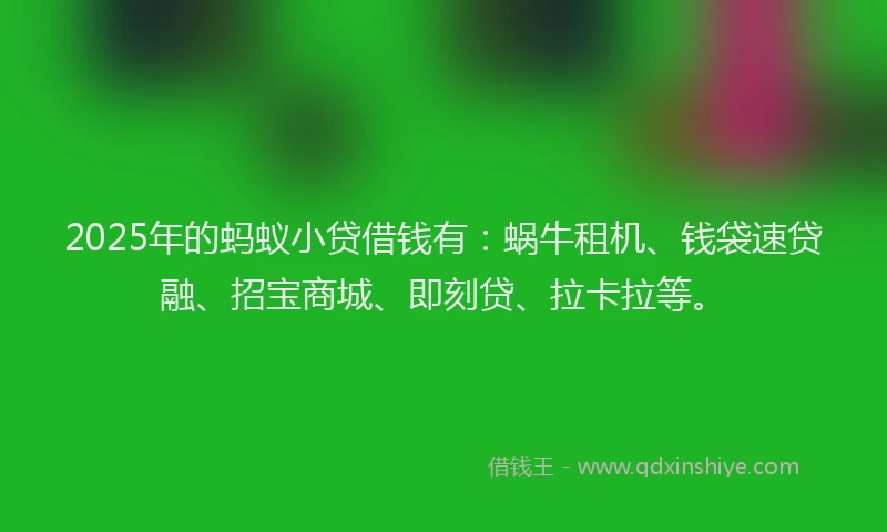 2025年的蚂蚁小贷借钱有：蜗牛租机、钱袋速贷融、招宝商城、即刻贷、拉卡拉等。