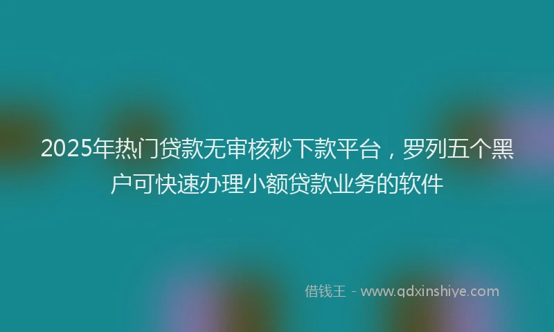 2025年热门贷款无审核秒下款平台,罗列五个黑户可快速办理小额贷款业务的软件