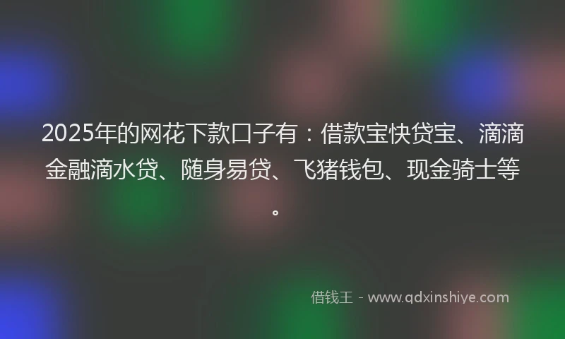 2025年的网花下款口子有：借款宝快贷宝、滴滴金融滴水贷、随身易贷、飞猪钱包、现金骑士等。