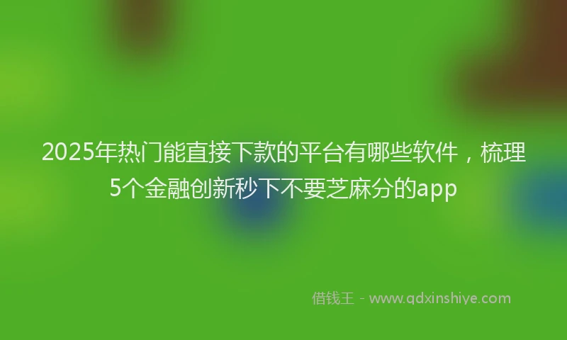 2025年热门能直接下款的平台有哪些软件，梳理5个金融创新秒下不要芝麻分的app
