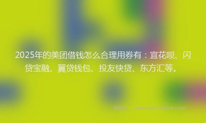 2025年的美团借钱怎么合理用券有：宜花呗、闪贷宝融、翼贷钱包、投友快贷、东方汇等。
