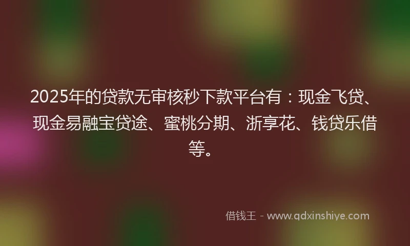 2025年的贷款无审核秒下款平台有:现金飞贷、现金易融宝贷途、蜜桃分期、浙享花、钱贷乐借等。