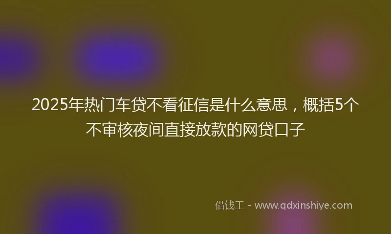 2025年热门车贷不看征信是什么意思，概括5个不审核夜间直接放款的网贷口子