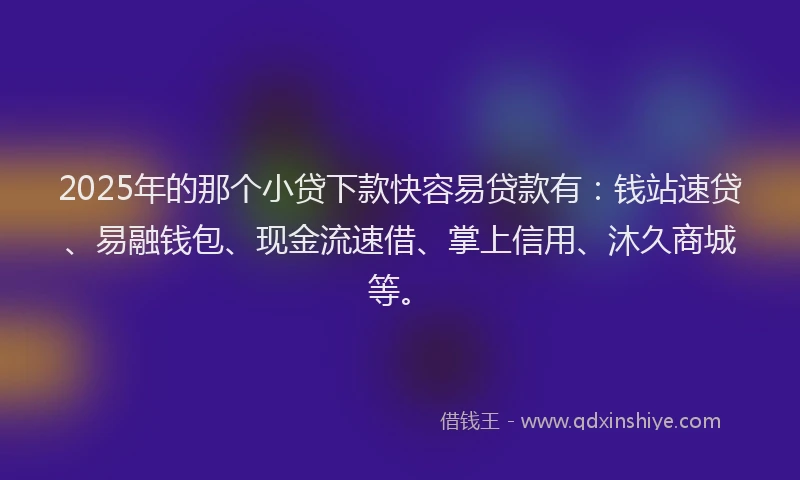 2025年的那个小贷下款快容易贷款有：钱站速贷、易融钱包、现金流速借、掌上信用、沐久商城等。