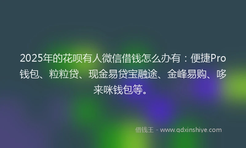 2025年的花呗有人微信借钱怎么办有：便捷Pro钱包、粒粒贷、现金易贷宝融途、金峰易购、哆来咪钱包等。