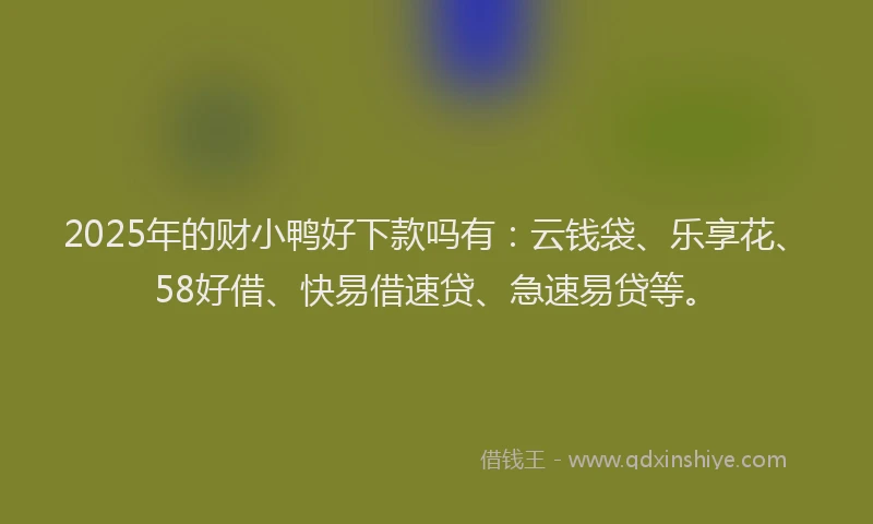 2025年的财小鸭好下款吗有：云钱袋、乐享花、58好借、快易借速贷、急速易贷等。