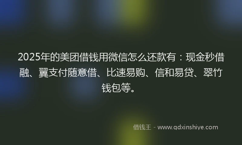 2025年的美团借钱用微信怎么还款有：现金秒借融、翼支付随意借、比速易购、信和易贷、翠竹钱包等。