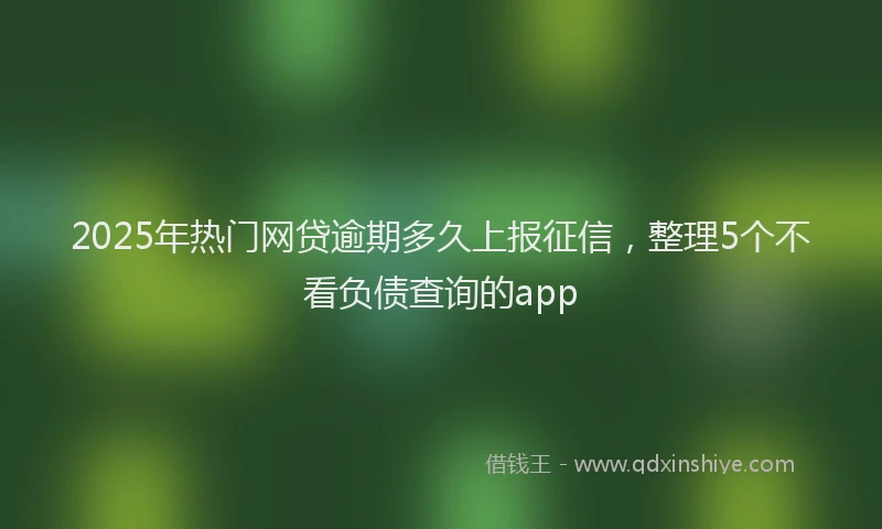 2025年热门网贷逾期多久上报征信，整理5个不看负债查询的app