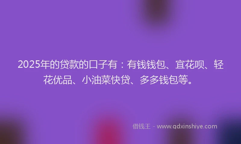 2025年的贷款的口子有：有钱钱包、宜花呗、轻花优品、小油菜快贷、多多钱包等。