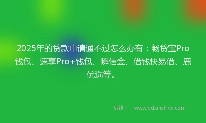 2025年的贷款申请通不过怎么办有：畅贷宝Pro钱包、速享Pro+钱包、瞬信金、借钱快易借、鹿优选等。