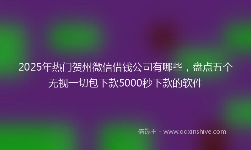 2025年热门贺州微信借钱公司有哪些，盘点五个无视一切包下款5000秒下款的软件