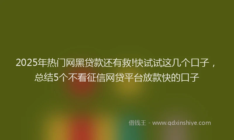 2025年热门网黑贷款还有救!快试试这几个口子，总结5个不看征信网贷平台放款快的口子