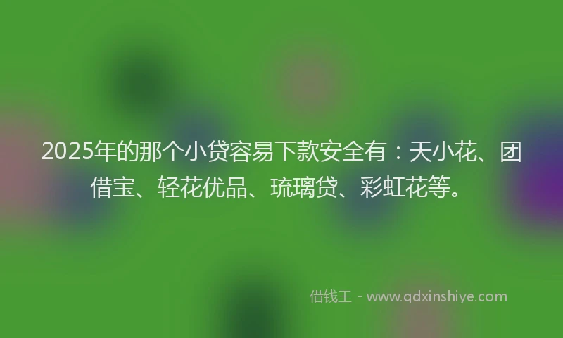 2025年的那个小贷容易下款安全有：天小花、团借宝、轻花优品、琉璃贷、彩虹花等。
