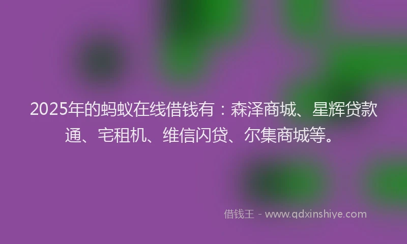2025年的蚂蚁在线借钱有：森泽商城、星辉贷款通、宅租机、维信闪贷、尔集商城等。