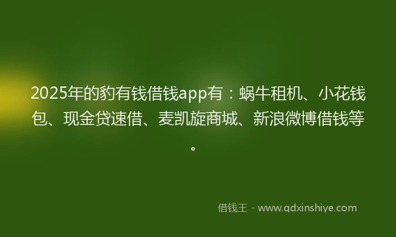 2025年的豹有钱借钱app有：蜗牛租机、小花钱包、现金贷速借、麦凯旋商城、新浪微博借钱等。
