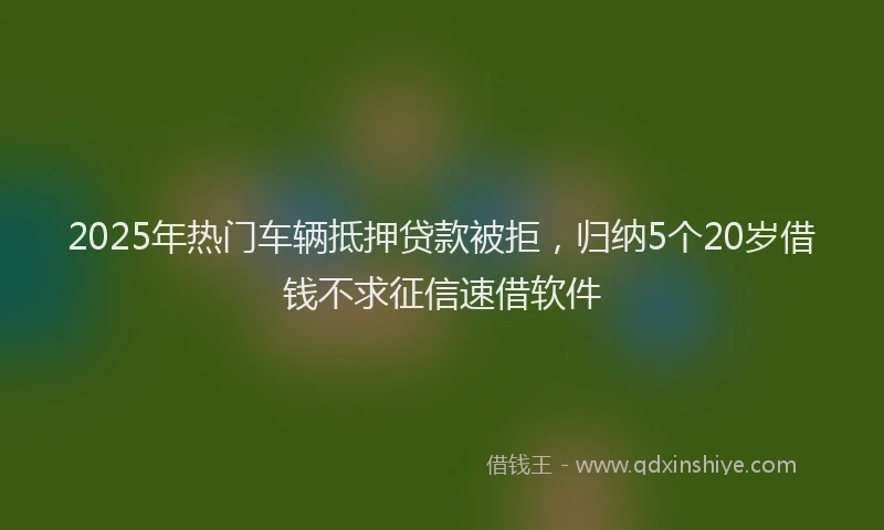 2025年热门车辆抵押贷款被拒，归纳5个20岁借钱不求征信速借软件