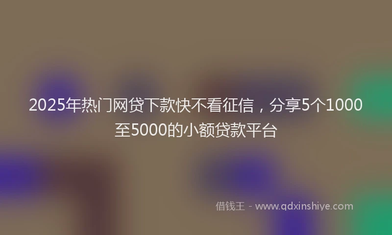 2025年热门网贷下款快不看征信，分享5个1000至5000的小额贷款平台