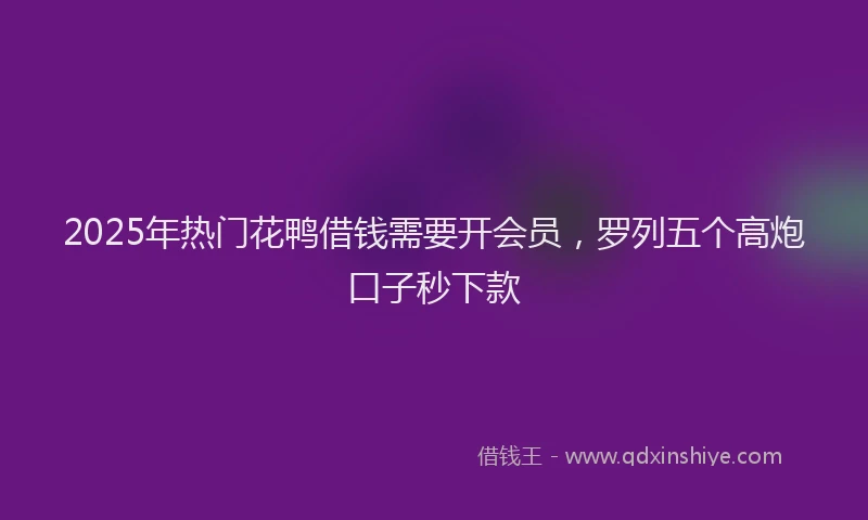 2025年热门花鸭借钱需要开会员，罗列五个高炮口子秒下款