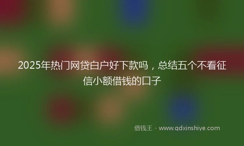 2025年热门网贷白户好下款吗，总结五个不看征信小额借钱的口子