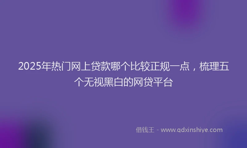 2025年热门网上贷款哪个比较正规一点，梳理五个无视黑白的网贷平台