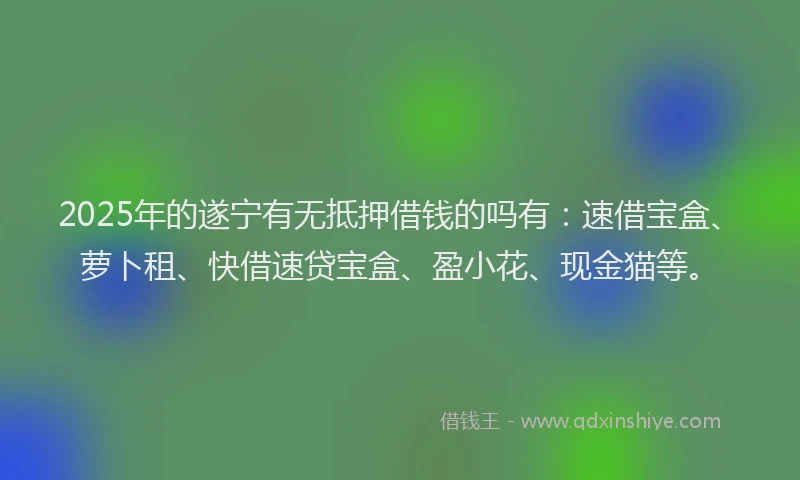 2025年的遂宁有无抵押借钱的吗有：速借宝盒、萝卜租、快借速贷宝盒、盈小花、现金猫等。