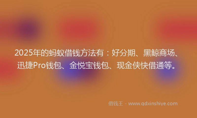 2025年的蚂蚁借钱方法有：好分期、黑鲸商场、迅捷Pro钱包、金悦宝钱包、现金侠快借通等。