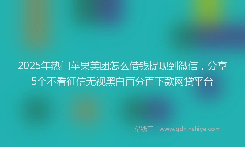 2025年热门苹果美团怎么借钱提现到微信，分享5个不看征信无视黑白百分百下款网贷平台
