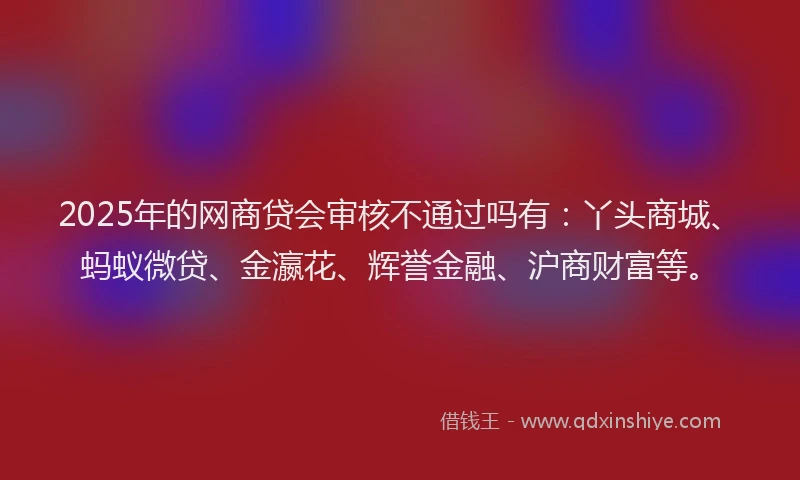 2025年的网商贷会审核不通过吗有：丫头商城、蚂蚁微贷、金瀛花、辉誉金融、沪商财富等。